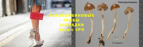 прущие крисы Инсар
