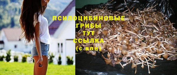 трава Каменка