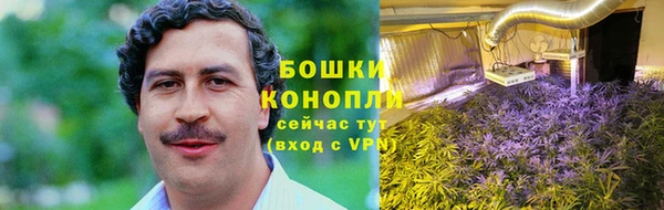 трава Каменка