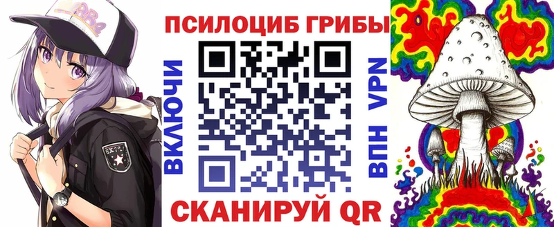 Купить  Шимановск  Галлюциногенные грибы мицелий 